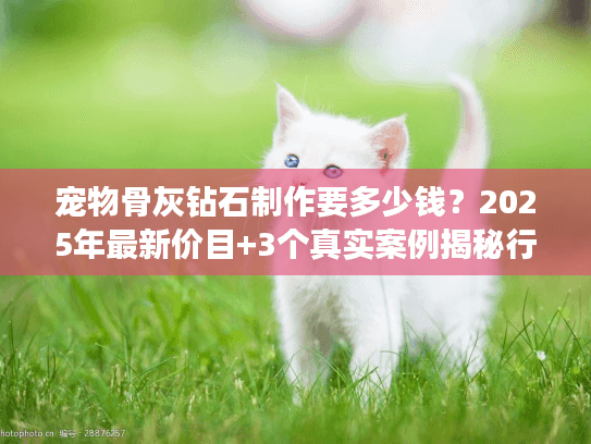 宠物骨灰钻石制作要多少钱？2025年最新价目+3个真实案例揭秘行业内幕