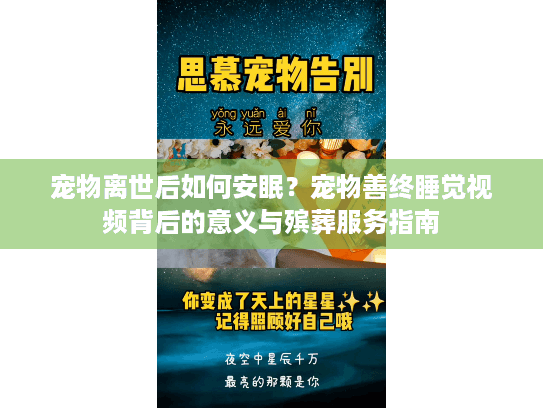 宠物离世后如何安眠？宠物善终睡觉视频背后的意义与殡葬服务指南