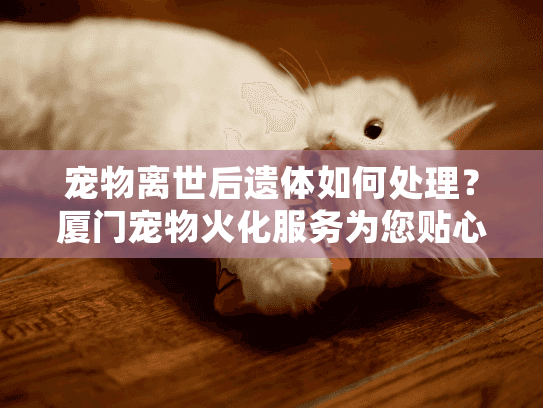 宠物离世后遗体如何处理？厦门宠物火化服务为您贴心解决