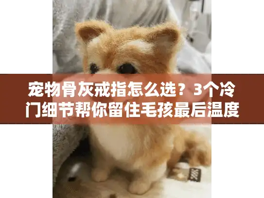 宠物骨灰戒指怎么选?3个冷门细节帮你留住毛孩最后温度 宠物骨灰戒指怎么选?3个冷门细节帮你留住毛孩最后温度