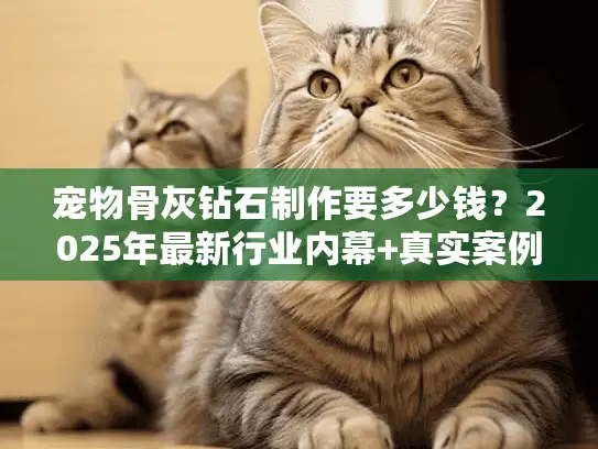 宠物骨灰钻石制作要多少钱？2025年最新行业内幕+真实案例拆解