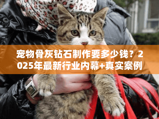 宠物骨灰钻石制作要多少钱？2025年最新行业内幕+真实案例拆解