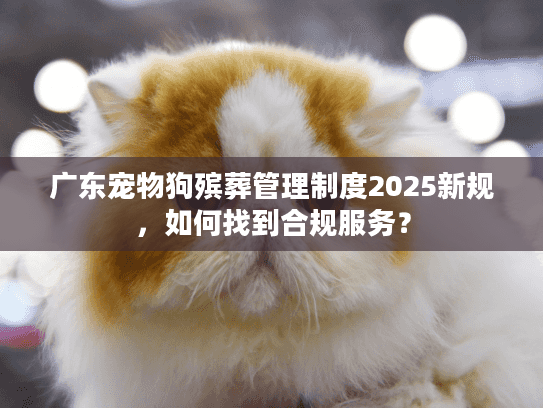 广东宠物狗殡葬管理制度2025新规，如何找到合规服务？