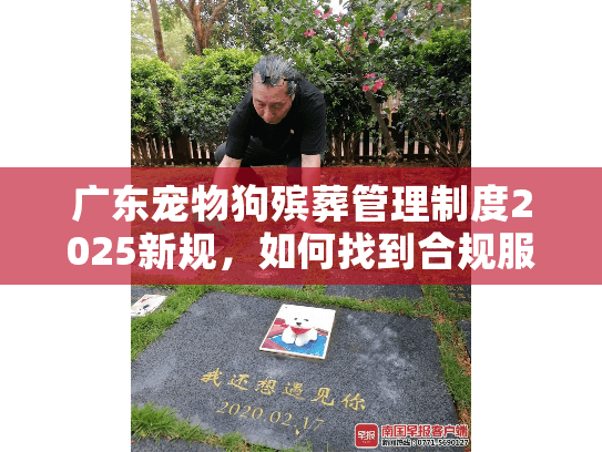 广东宠物狗殡葬管理制度2025新规，如何找到合规服务？