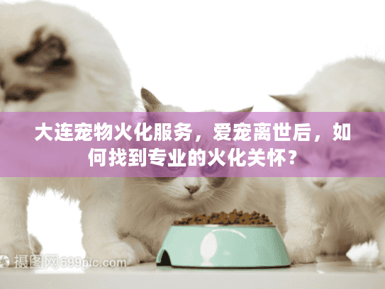 大连宠物火化服务,爱宠离世后,如何找到专业的火化关怀? 大连宠物火化服务,爱宠离世后,如何找到专业的火化关怀?
