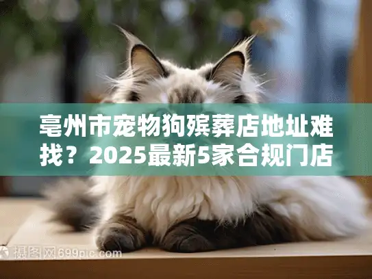 亳州市宠物狗殡葬店地址难找?2025最新5家合规门店+服务内幕全公开 亳州市宠物狗殡葬店地址难找?2025最新5家合规门店+服务内幕全公开