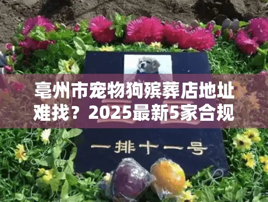 亳州市宠物狗殡葬店地址难找?2025最新5家合规门店+服务内幕全公开 亳州市宠物狗殡葬店地址难找?2025最新5家合规门店+服务内幕全公开