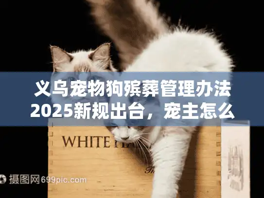 义乌宠物狗殡葬管理办法2025新规出台，宠主怎么找合规服务？这3招够用