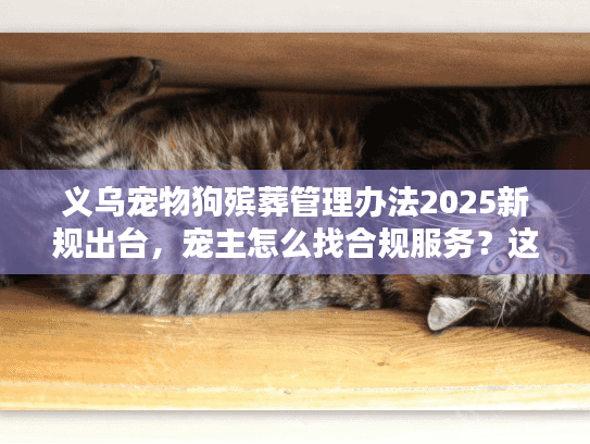 义乌宠物狗殡葬管理办法2025新规出台，宠主怎么找合规服务？这3招够用