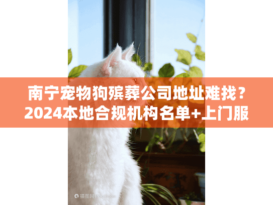 南宁宠物狗殡葬公司地址难找？2024本地合规机构名单+上门服务流程揭秘