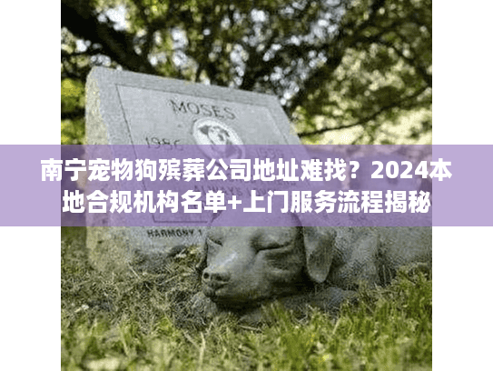 南宁宠物狗殡葬公司地址难找？2024本地合规机构名单+上门服务流程揭秘