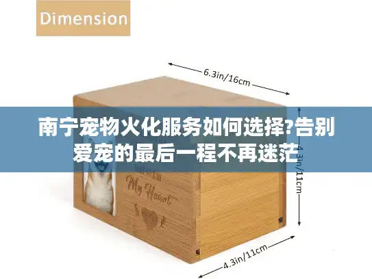 南宁宠物火化服务如何选择?告别爱宠的最后一程不再迷茫