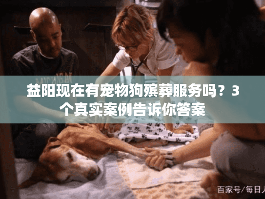 益阳现在有宠物狗殡葬服务吗？3个真实案例告诉你答案
