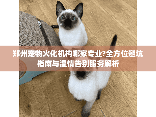 郑州宠物火化机构哪家专业?全方位避坑指南与温情告别服务解析 郑州宠物火化机构哪家专业?全方位避坑指南与温情告别服务解析