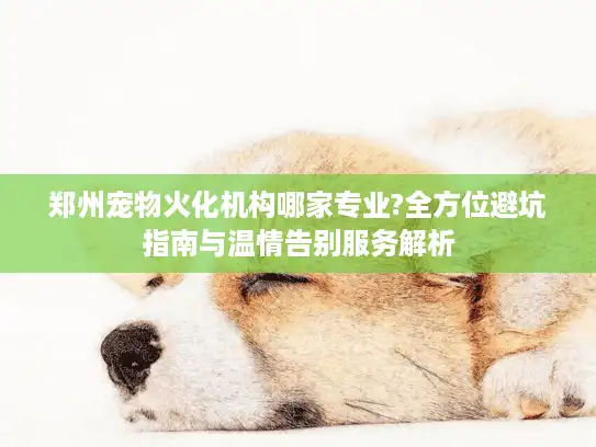 郑州宠物火化机构哪家专业?全方位避坑指南与温情告别服务解析 郑州宠物火化机构哪家专业?全方位避坑指南与温情告别服务解析