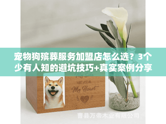 宠物狗殡葬服务加盟店怎么选？3个少有人知的避坑技巧+真实案例分享