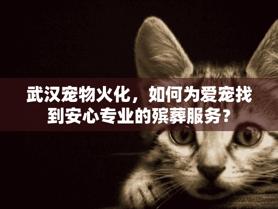 武汉宠物火化，如何为爱宠找到安心专业的殡葬服务？
