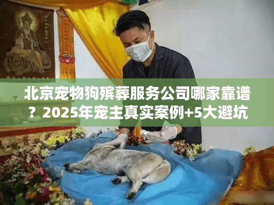 北京宠物狗殡葬服务公司哪家靠谱？2025年宠主真实案例+5大避坑要点（附口碑机构推荐）