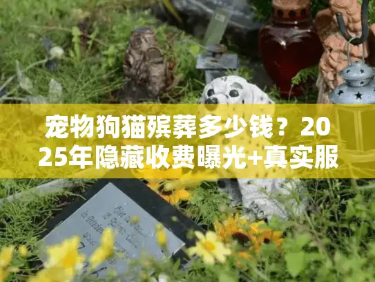 宠物狗猫殡葬多少钱?2025年隐藏收费曝光+真实服务案例拆解 宠物狗猫殡葬多少钱?2025年隐藏收费曝光+真实服务案例拆解