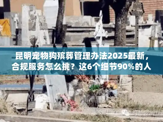 昆明宠物狗殡葬管理办法2025最新，合规服务怎么挑？这6个细节90%的人都忽略了！