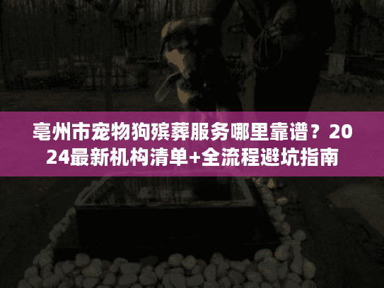 亳州市宠物狗殡葬服务哪里靠谱？2024最新机构清单+全流程避坑指南