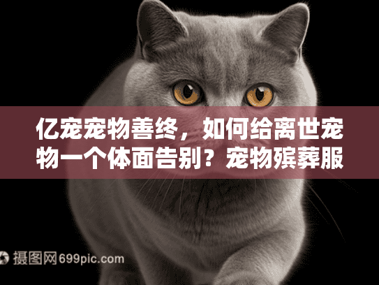 亿宠宠物善终,如何给离世宠物一个体面告别?宠物殡葬服务指南 亿宠宠物善终,如何给离世宠物一个体面告别?宠物殡葬服务指南