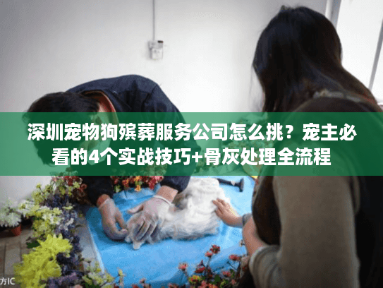 深圳宠物狗殡葬服务公司怎么挑？宠主必看的4个实战技巧+骨灰处理全流程