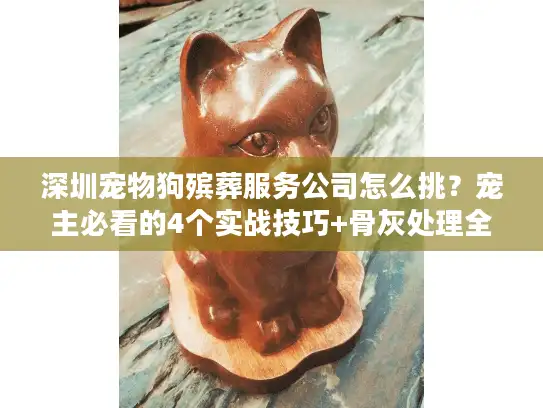 深圳宠物狗殡葬服务公司怎么挑？宠主必看的4个实战技巧+骨灰处理全流程
