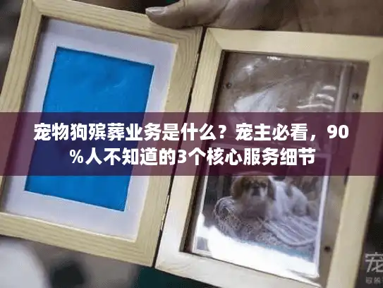宠物狗殡葬业务是什么？宠主必看，90%人不知道的3个核心服务细节