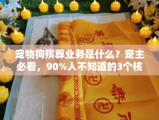宠物狗殡葬业务是什么？宠主必看，90%人不知道的3个核心服务细节