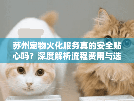 苏州宠物火化服务真的安全贴心吗？深度解析流程费用与选择策略