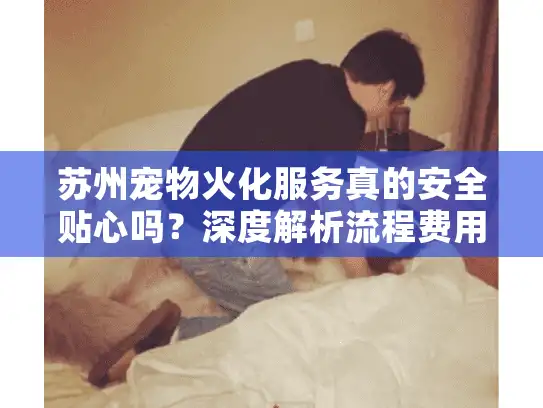 苏州宠物火化服务真的安全贴心吗？深度解析流程费用与选择策略