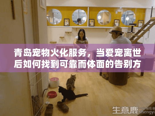 青岛宠物火化服务，当爱宠离世后如何找到可靠而体面的告别方案？