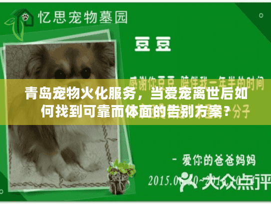 青岛宠物火化服务，当爱宠离世后如何找到可靠而体面的告别方案？