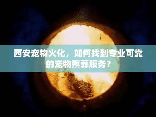 西安宠物火化，如何找到专业可靠的宠物殡葬服务？