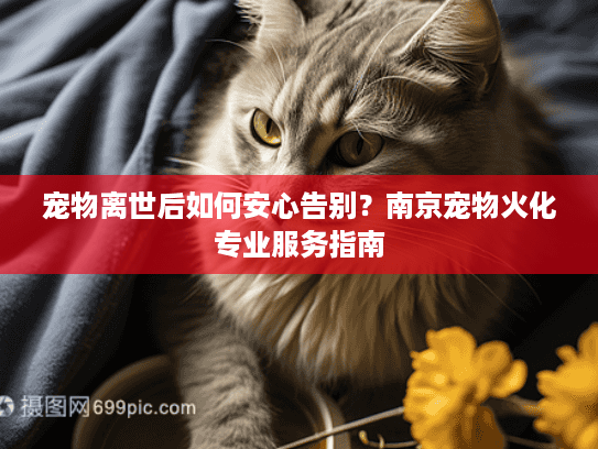 宠物离世后如何安心告别?南京宠物火化专业服务指南 宠物离世后如何安心告别?南京宠物火化专业服务指南