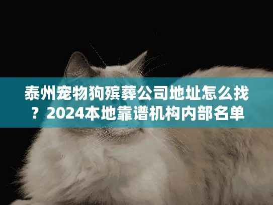 泰州宠物狗殡葬公司地址怎么找？2024本地靠谱机构内部名单+服务避坑攻略