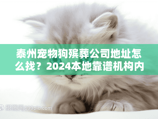 泰州宠物狗殡葬公司地址怎么找？2024本地靠谱机构内部名单+服务避坑攻略