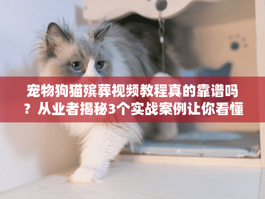 宠物狗猫殡葬视频教程真的靠谱吗？从业者揭秘3个实战案例让你看懂门道