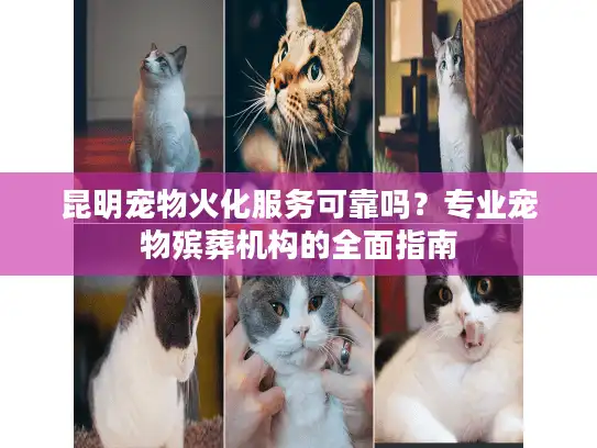 昆明宠物火化服务可靠吗？专业宠物殡葬机构的全面指南