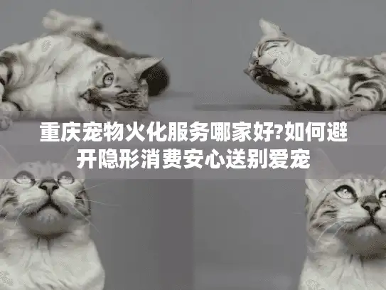 重庆宠物火化服务哪家好?如何避开隐形消费安心送别爱宠