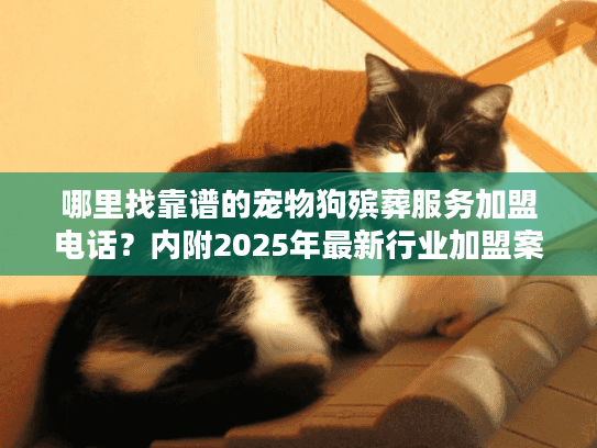 哪里找靠谱的宠物狗殡葬服务加盟电话？内附2025年最新行业加盟案例！