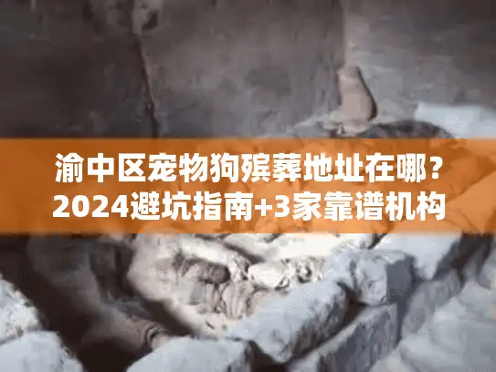 渝中区宠物狗殡葬地址在哪？2024避坑指南+3家靠谱机构实测