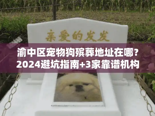 渝中区宠物狗殡葬地址在哪？2024避坑指南+3家靠谱机构实测