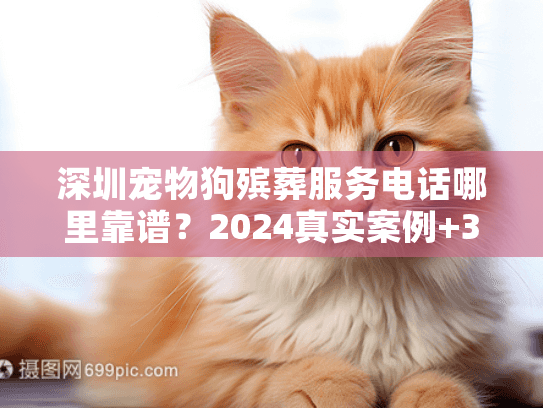 深圳宠物狗殡葬服务电话哪里靠谱？2024真实案例+3家正规机构联系方式速存