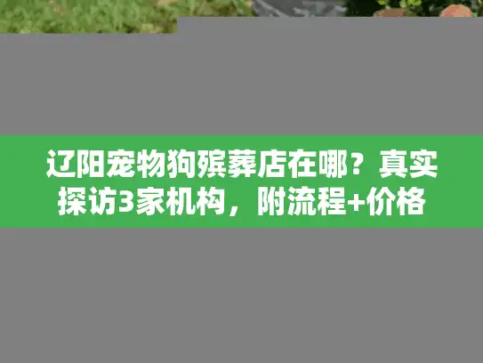 辽阳宠物狗殡葬店在哪?真实探访3家机构,附流程+价格避坑技巧 辽阳宠物狗殡葬店在哪?真实探访3家机构,附流程+价格避坑技巧