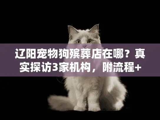 辽阳宠物狗殡葬店在哪?真实探访3家机构,附流程+价格避坑技巧 辽阳宠物狗殡葬店在哪?真实探访3家机构,附流程+价格避坑技巧