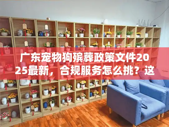 广东宠物狗殡葬政策文件2025最新，合规服务怎么挑？这3个认证不能少！