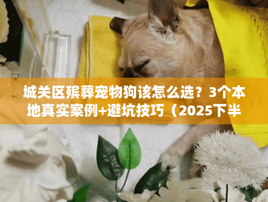 城关区殡葬宠物狗该怎么选？3个本地真实案例+避坑技巧（2025下半年最新服务清单）