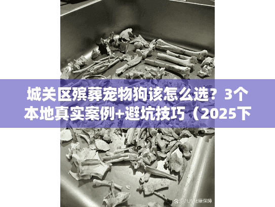 城关区殡葬宠物狗该怎么选？3个本地真实案例+避坑技巧（2025下半年最新服务清单）